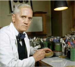 Alexander Fleming descubre la penicilina