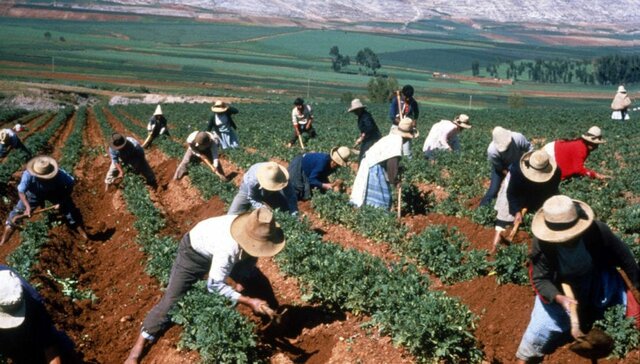 "El marketing de los productos agrícolas" por Lewis Weld
