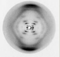 Descubrimiento de la estructura del ADN