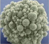 La primera célula sintética