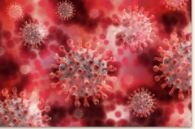 Se reporta por por primera vez el COVID-19 en Wuhan (China).