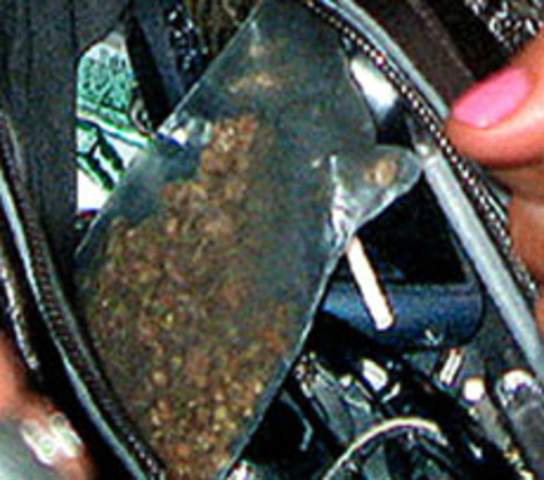 New Jersey v. T.L.O.