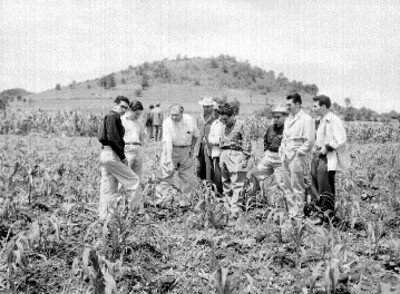 Descuido Del Campo Agricola