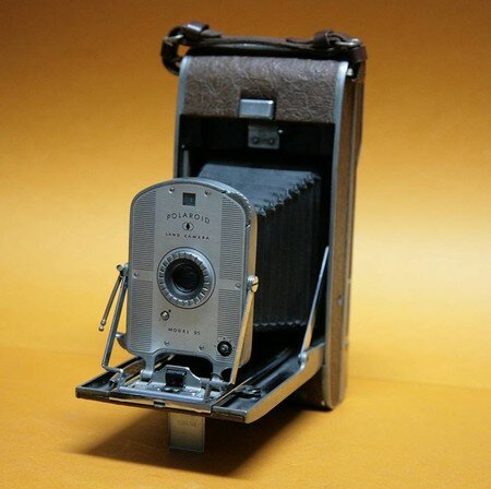 Polaroid