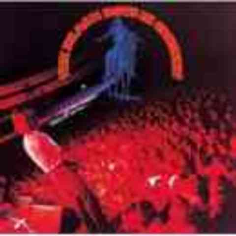 The Beach Boys in Concert