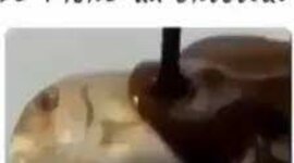 Timeline: Espanya al segle XIX i el principi del segle XX