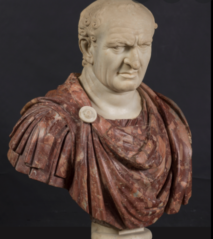 Vespasiano es proclamado emperador