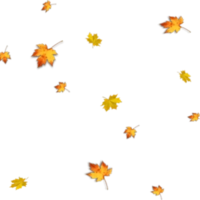 Timeline: FONTS HISTORIQUES