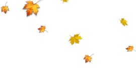 Timeline: FONTS HISTORIQUES