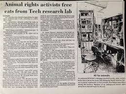 activists began to do civil disobedience measures, and movement's relaince on sit-ins, site blockage, and similar tacticts expanded steadily throughout the years leading up to now.