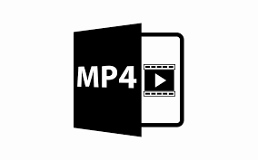 MP4