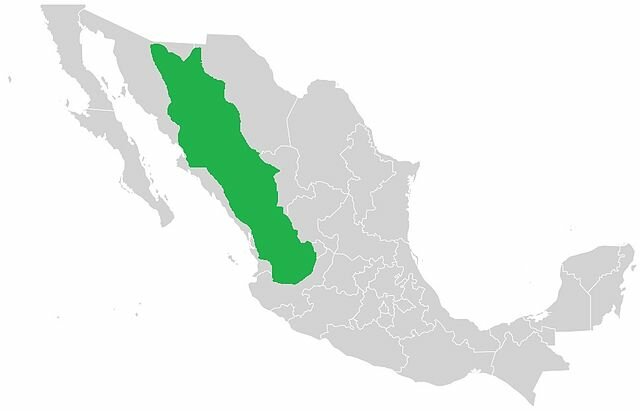 Jesuit Missions to Mexico