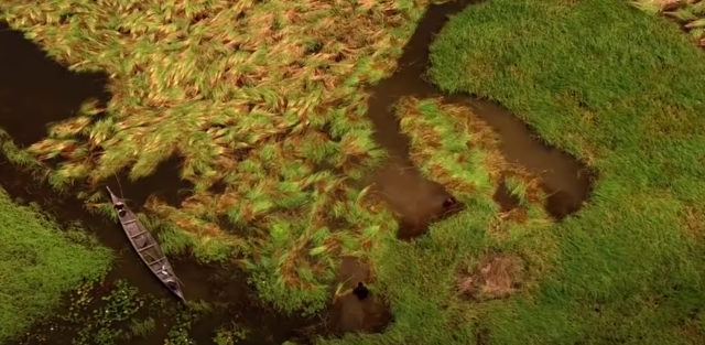 Mas de 80.000 millones de evolucion