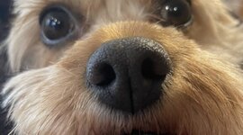 Timeline: History of Healthcare Abendroth