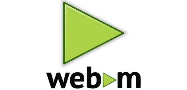 SE LANZA WEBM