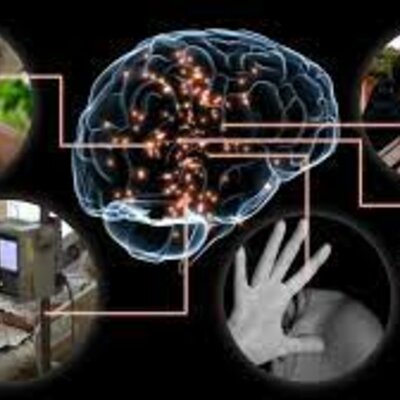 Timeline: Línea del tiempo Desarrollo de la sociología