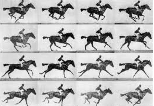 The first moving picture