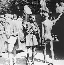 Informe de Harrison sobre els jueus a Alemaya