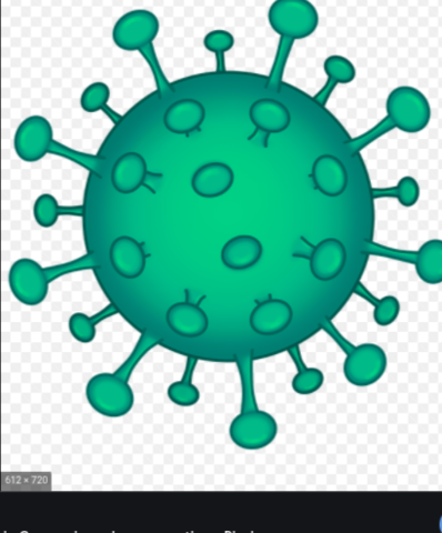 va començar la pandemia