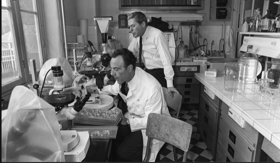 Existencia del ARN mensajero