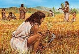 Invention de l’agriculture