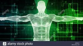 Timeline: PRESABERES Y FUNDAMENTOS