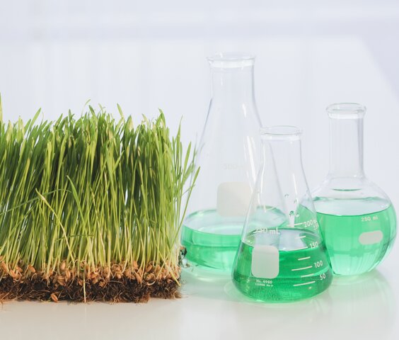 Química orgánica en la antigüedad