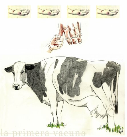 Creación de la primera vacuna