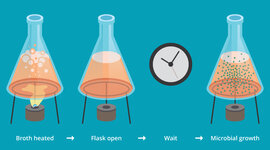 Timeline: Spontaneos generation experiments7