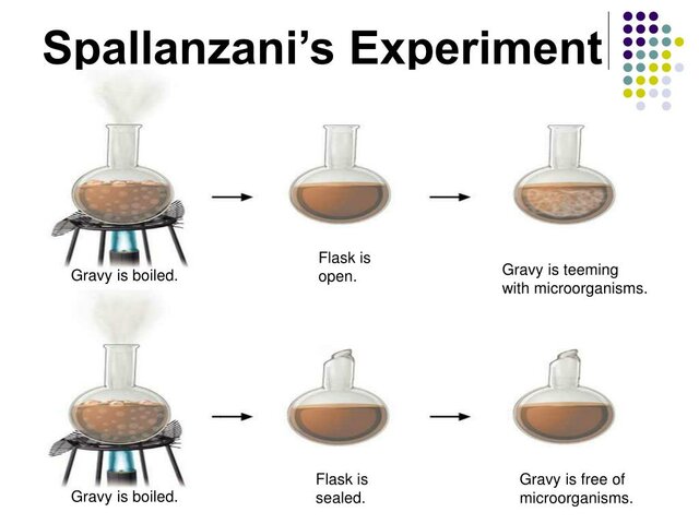 SPALLANZANI'S EXPERIMENT