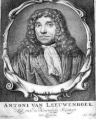 Van Leeuwenhoek