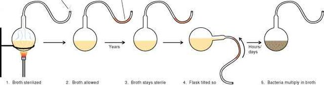 PASTEUR'S EXPERIMENT