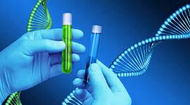 Timeline: CRONOLOGIA DELS DESCOBRIMENTS CIENTÍFICS DE LA REVOLUCIÓ GENÈTICA