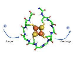 S'obté la primera proteína per ingenyeria genètica: la insulina