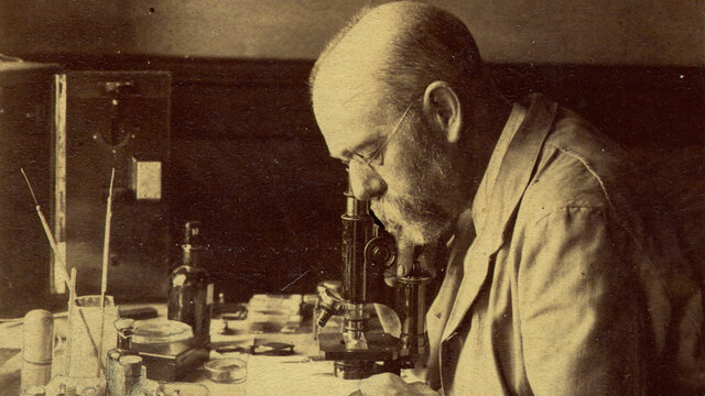 Agente de tuberculosis