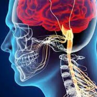 Timeline: The History of Neurology