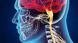 Timeline: The History of Neurology