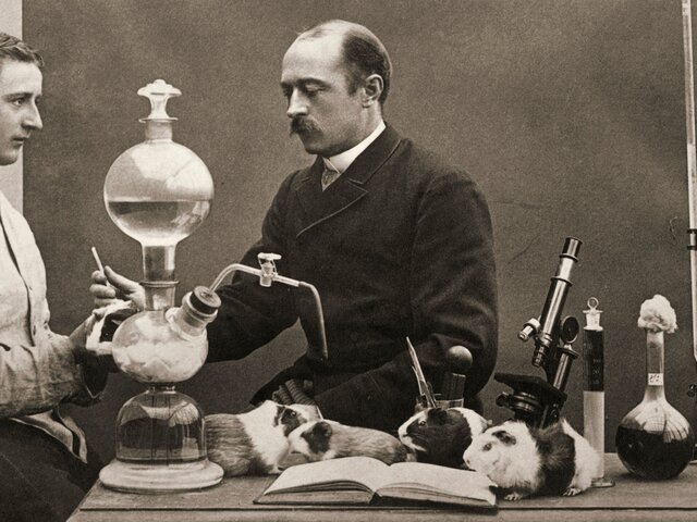 Antitoxina Contra Difteria