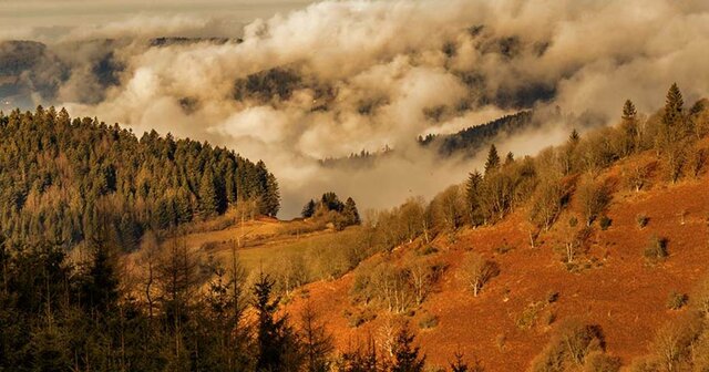 Truman became captain and saw action for the first time in the National Guard