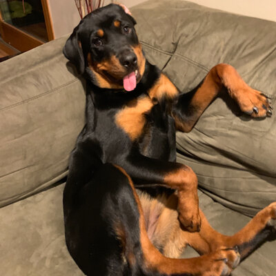 Timeline: History of health care Baumgarten