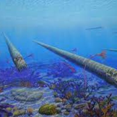 Timeline: Fechas de extinciones masivas