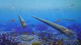 Timeline: Fechas de extinciones masivas