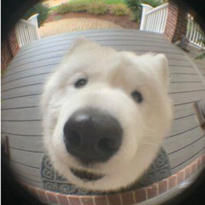 Timeline: History of Healthcare Friedman