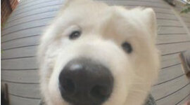 Timeline: History of Healthcare Friedman