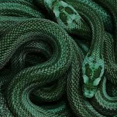 Timeline: history of healthcare strunk