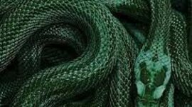 Timeline: history of healthcare strunk