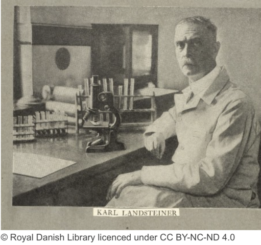 Descubrimiento de los grupos sanguíneos comunes