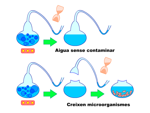 Experiment de Pasteur