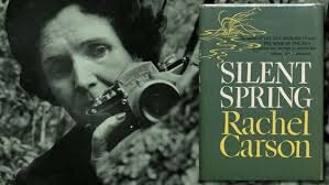 Rachel Carson antigua bióloga del gobierno publica “Primavera Silenciosa”