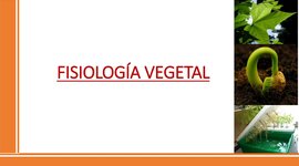 Timeline: Historia de la Fisiología Vegetal